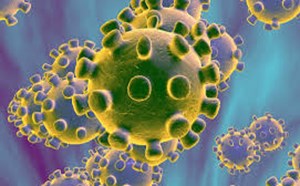 Coronavirus (COVID-19) Updates - article thumnail image
